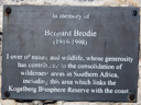 Brodie, Bernard (id=2079)